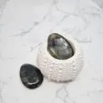 Kristal labradorit za spodbudo in vodstvo
